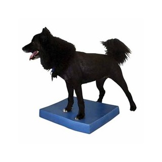 Matelas d'équilibre FitPAWS® (FitPAWS® Balance Pad)