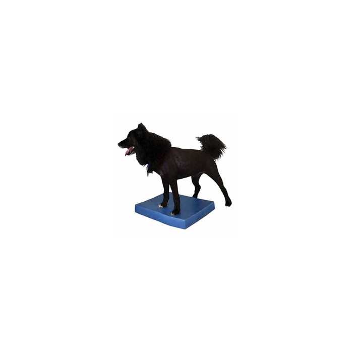 Matelas d'équilibre FitPAWS® (FitPAWS® Balance Pad)