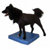 Matelas d'équilibre FitPAWS® (FitPAWS® Balance Pad)