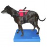 Matelas d'équilibre FitPAWS® (FitPAWS® Balance Pad)
