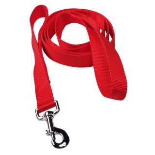 Laisse de contrôle (Traffic Handle Leash)