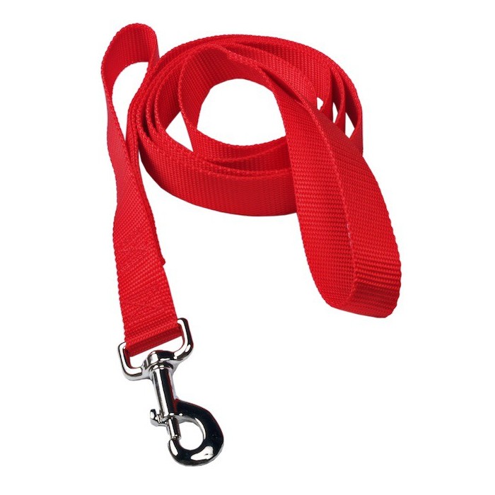 Laisse de contrôle (Traffic Handle Leash)