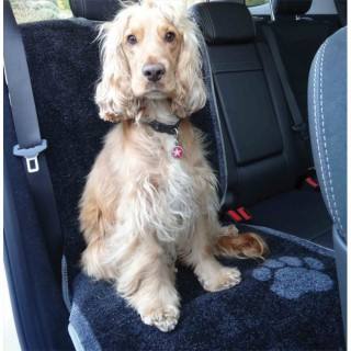 Tapis de siège auto (Car Seat Carpet)