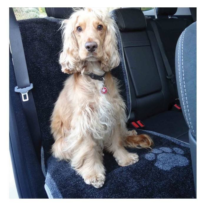 Tapis de siège auto (Car Seat Carpet)