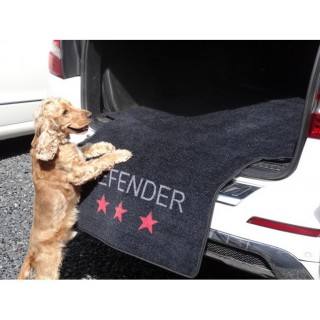 Tapis de coffre auto (Defender)