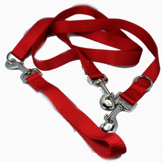 Laisse européenne 2 points (Euro Leash)