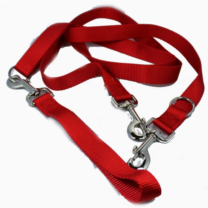 Laisse européenne 2 points (Euro Leash)