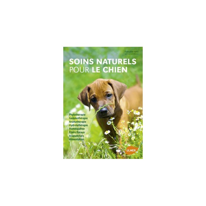 Soins naturels pour le chien