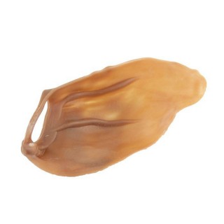 Oreille végétale (Veggie Ear)