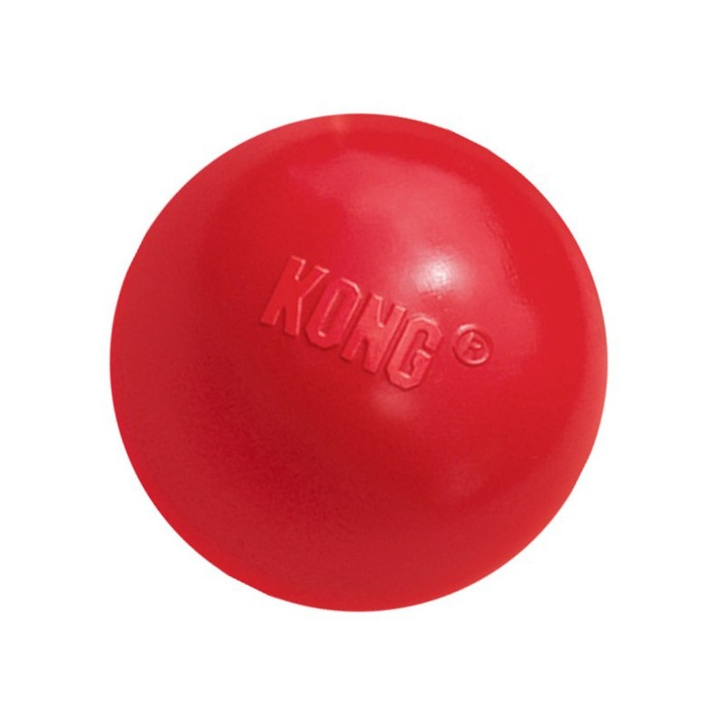 Jouets Kong pour chien