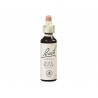 Rock Water (Eau de roche)