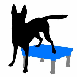 Plate-forme d’entraînement pour chiens (Sports Klimb Blue)