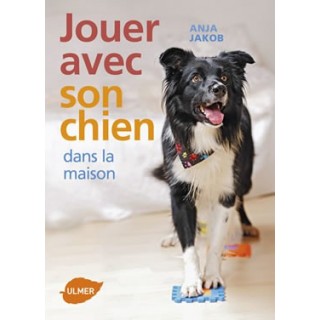 Jouer avec son chien dans la maison