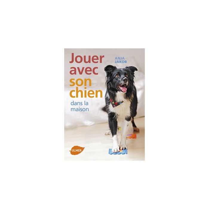 Jouer avec son chien dans la maison