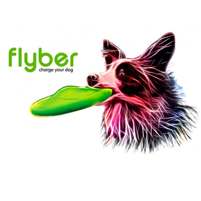 Flyber (Disque Double face)