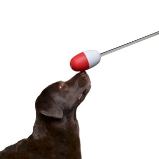 Buoy Target