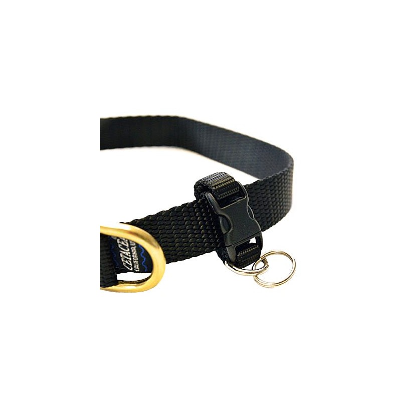 Porte médaille réglable pour chien