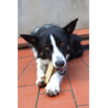 Snacks au lait de yak (Churpi Himalayan Canine Treat)