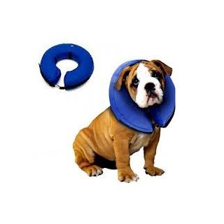 Textiles et accessoires pour chiens Buster Manchon pour Chien