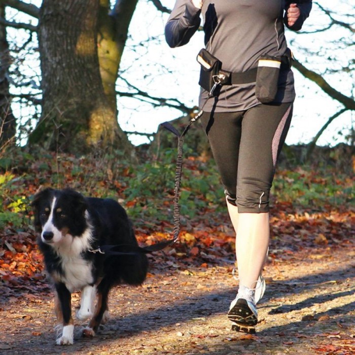 Ceinture Mains Libres  Hands Free Leash