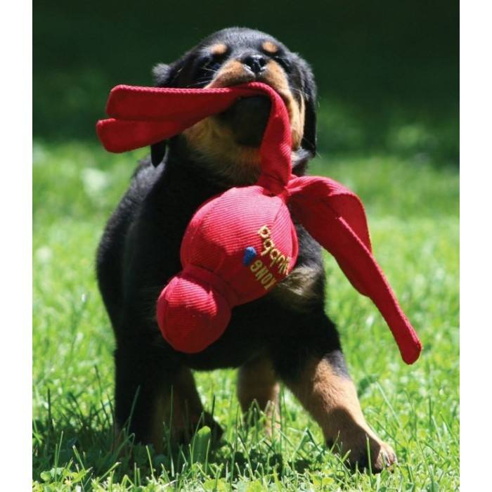 Kong Wubba Tissu