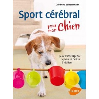 Sport cérébral pour mon chien