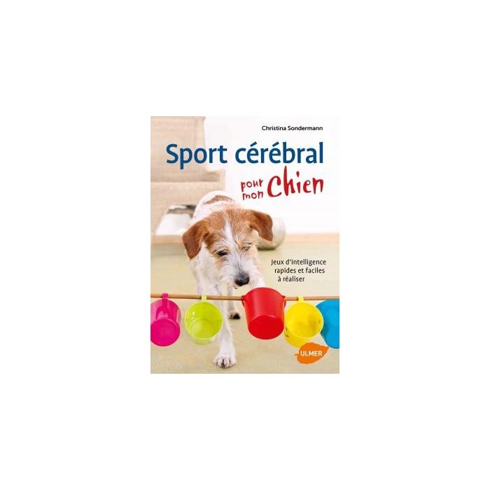 Sport cérébral pour mon chien