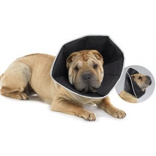 Collerette souple pour chiens et chats (Comfy Cone)