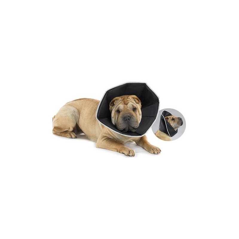 Accessoires pratiques pour chien