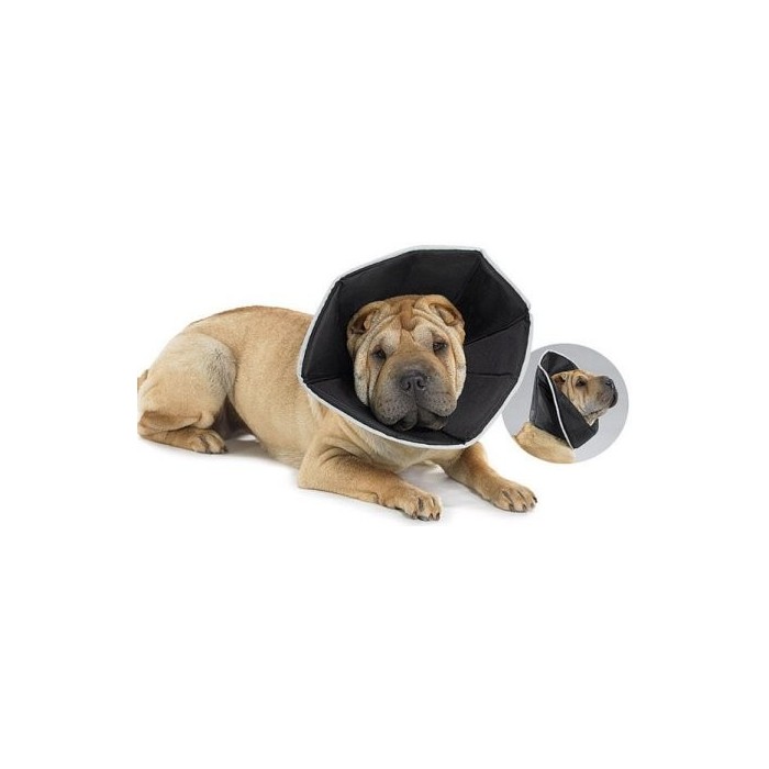 Top 10 des accessoires pour chien en été