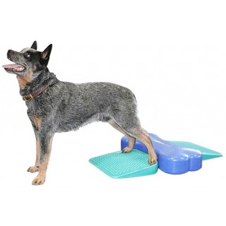 Rampe d’équilibre (FitPAWS® Dog Balance Ramp)