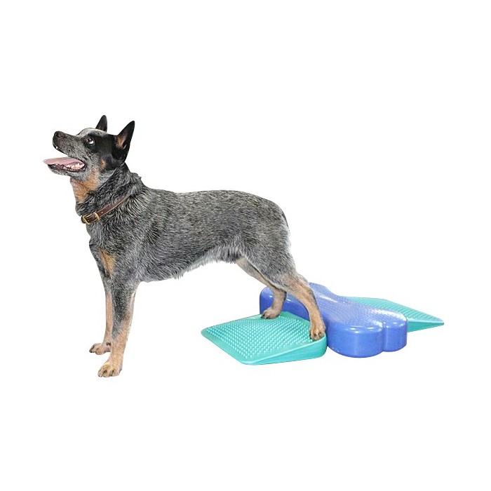 Rampe d’équilibre (FitPAWS® Dog Balance Ramp)