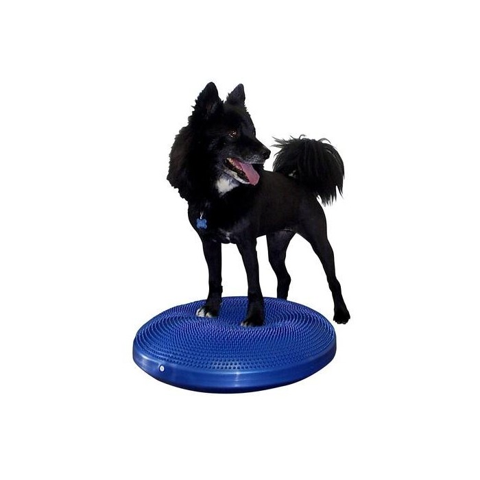 Disque d’équilibre FitPAWS (FitPAWS Balance Disc)