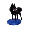 Disque d’équilibre FitPAWS (FitPAWS Balance Disc)