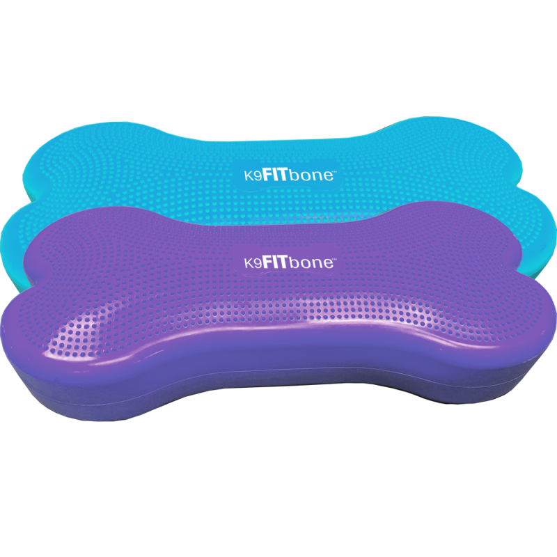 Plate-forme d’équilibre XL (Giant K9FITBone)