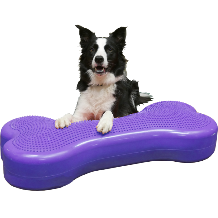 Plate-forme d’équilibre XL (Giant K9FITBone)