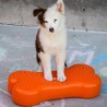 Plate-forme d'équilibre pour chien (DogBalanceBone)