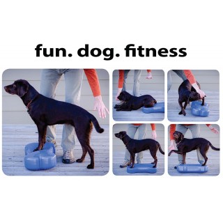 Plate-forme d'équilibre pour chien (DogBalanceBone)