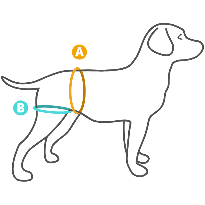 Harnais De Soutien pour Chien, Harnais pour Pattes Arrière, Aide À