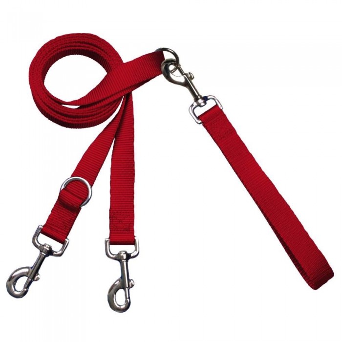 Laisse européenne 2 points (Euro Leash)