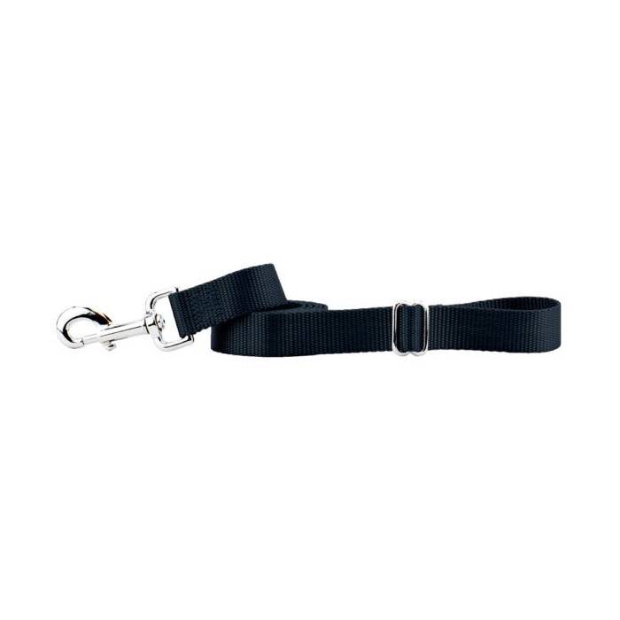 Laisse de contrôle (Traffic Handle Leash)