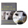 Kit Education du chien (Livre + DVD)