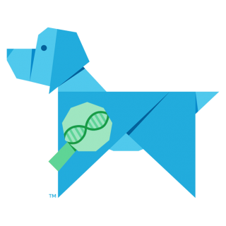 Test ADN pour chiens (Wisdom Panel TM 2.0)