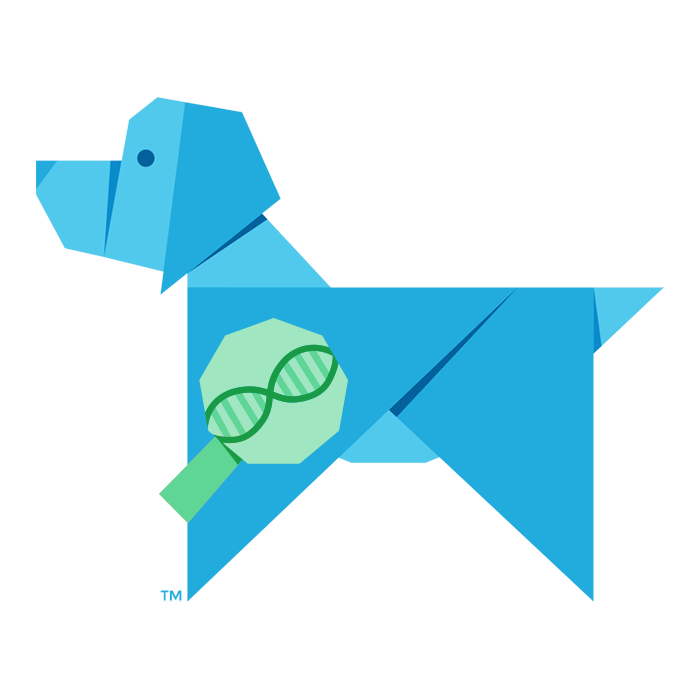 Test ADN pour chiens (Wisdom Panel TM 2.0)