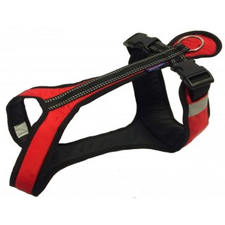 Harnais ZeroDC Short Harnais ZeroDC Short