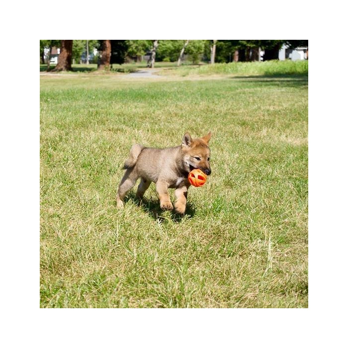 Balle “Respire” (Chuckit! Breathe Right® Fetch Ball)