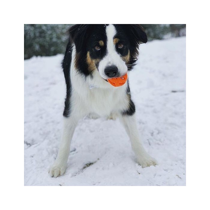 Balle “Respire” (Chuckit! Breathe Right® Fetch Ball)