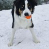 Balle “Respire” (Chuckit! Breathe Right® Fetch Ball)