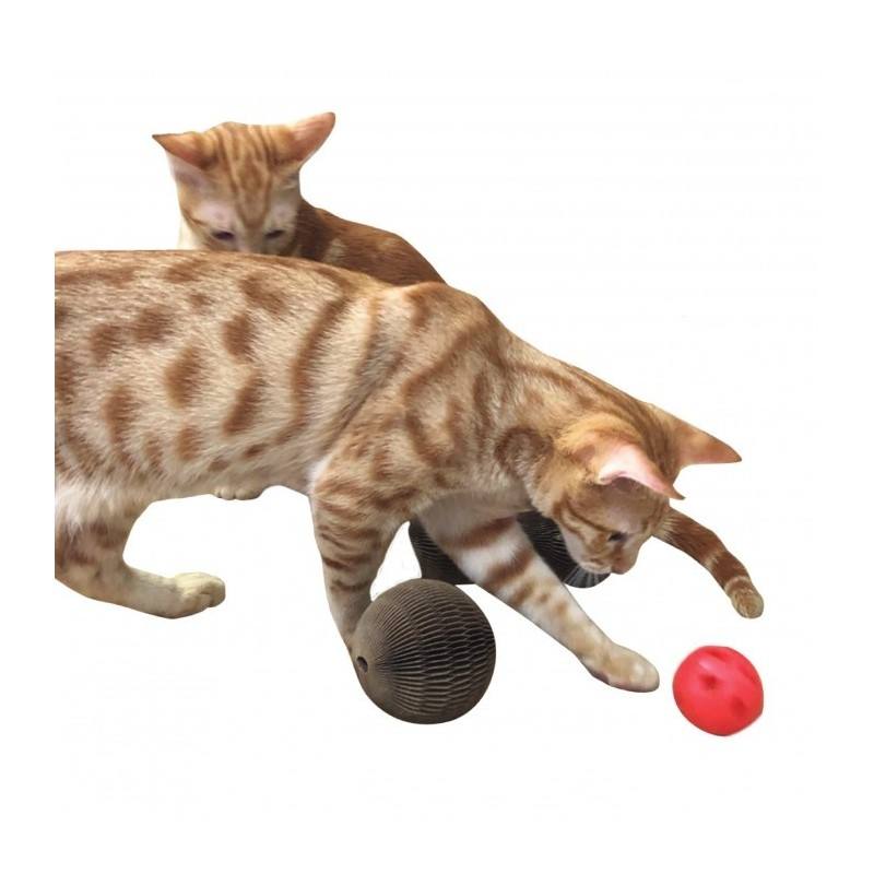 Accessoires Et Jouets Pour Chiens Chats Animalinboutique Fr Accessoires Et Jouets Pour Chiens Chats Animalinboutique Fr