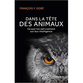 Dans la tête des animaux